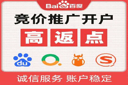 百度广告投放技巧与案例分享